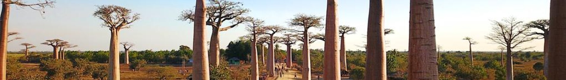 Morondava: wynajem prywatnych odrzutowców
