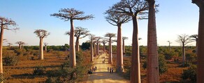 Morondava: wynajem prywatnych odrzutowców