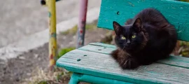 Uljanowsk Wostoczny: wynajem prywatnych odrzutowców