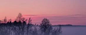 Pitea: wynajem prywatnych odrzutowców