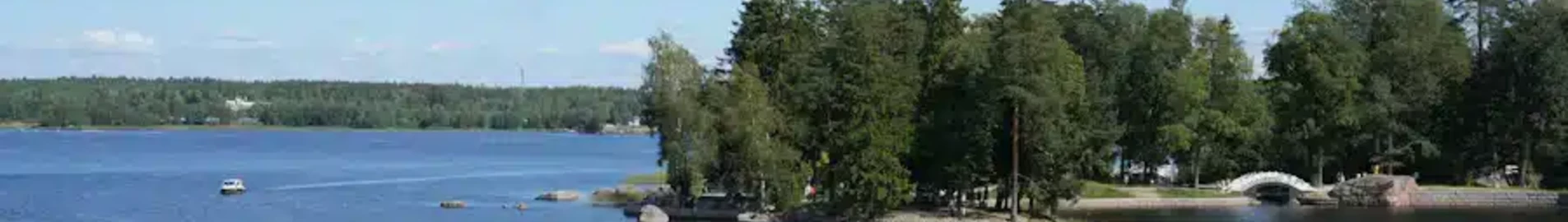 Platov: wynajem prywatnych odrzutowców