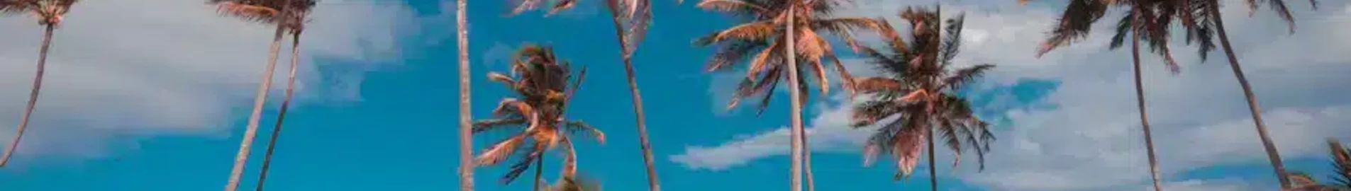 Punta Cana: wynajem prywatnych odrzutowców