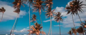 Punta Cana: wynajem prywatnych odrzutowców