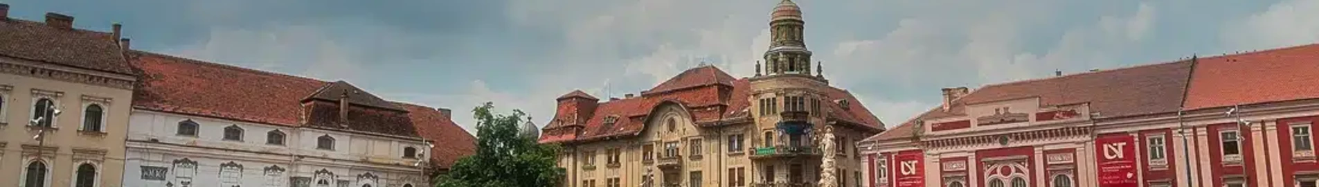 Satu Mare: wynajem prywatnych odrzutowców