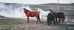 Stavropol Shpakovskoye: wynajem prywatnych odrzutowców