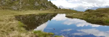 Alphonse - location de jet privé