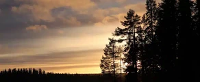 Stromsund Hallviken : wynajem prywatnych odrzutowców