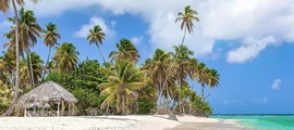 Trinidad Piarco: wynajem prywatnych odrzutowców