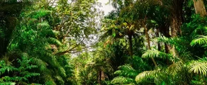 Trynidad i Tobago : Wynajem prywatnych odrzutowców