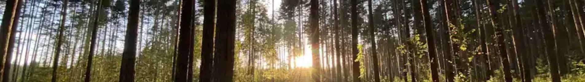 Twer Migalovo: wynajem prywatnych odrzutowców