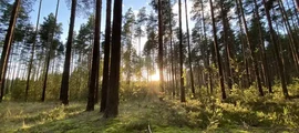 Kursk Wostoczny: wynajem prywatnych odrzutowców