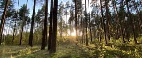 Twer Migalovo: wynajem prywatnych odrzutowców