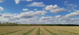 Ostafyevo : wynajem prywatnych odrzutowców
