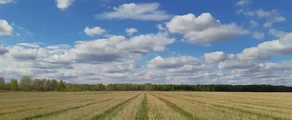 Tiumeń Roschino : wynajem prywatnych odrzutowców
