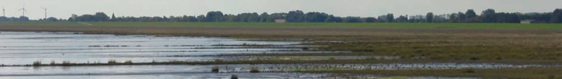 Wilhelmshaven Mariensiel : wynajem prywatnych odrzutowców 