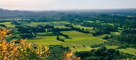 Saint-Etienne Loire : wynajem prywatnych odrzutowców 