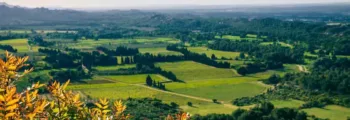Dekelia Tatoi : location de jet privé
