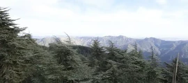 Annaba: wynajem prywatnych odrzutowców