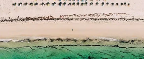 Djerba Zarzis : wynajem prywatnych odrzutowców