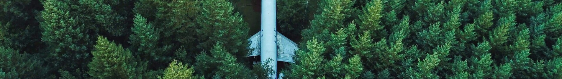 Biopaliwa (SAF): przyszłość lotnictwa biznesowego?