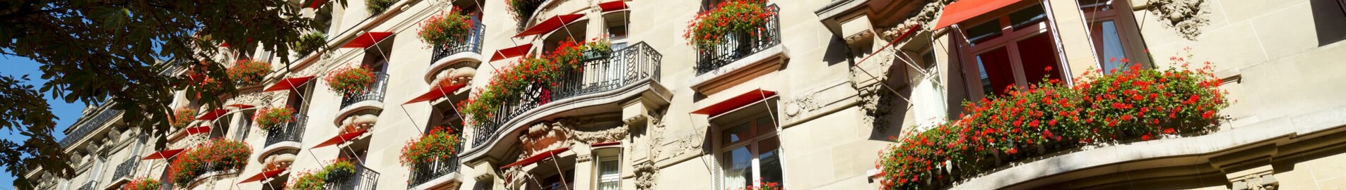 Luksusowy hotel w Paryżu: wymarzony pobyt w Hôtel Plaza Athénée
