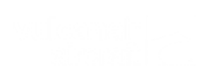 PIAGGIO AVANTI P 180: Wynajem prywatnych odrzutowców 