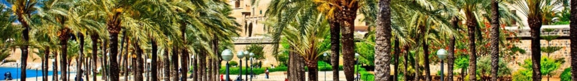 Neapol - Palma de Mallorca: wynajem prywatnych odrzutowców