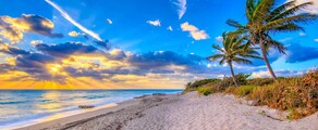 Genewa - Palm Beach : wynajem prywatnych odrzutowców