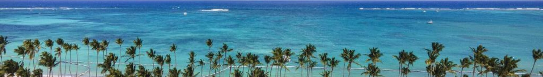 Palm Beach: wynajem prywatnych odrzutowców