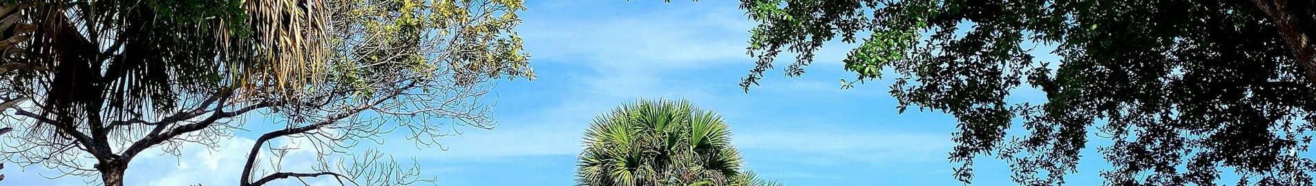 Los Angeles - Tampa : wynajem prywatnych odrzutowców
