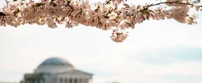 Las Vegas - Waszyngton: wynajem prywatnych odrzutowców