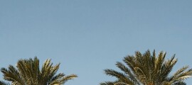 Las Vegas - Palm Beach : wynajem prywatnych odrzutowców