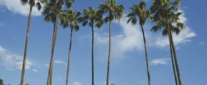 Nowy Jork - Tampa : wynajem prywatnych odrzutowców