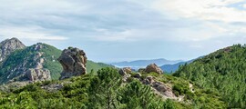 Genewa - Palma de Mallorca : wynajem prywatnych odrzutowców 