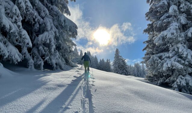 Photo d'une personne skiant dans la poudreuse d'une montagne enneigée