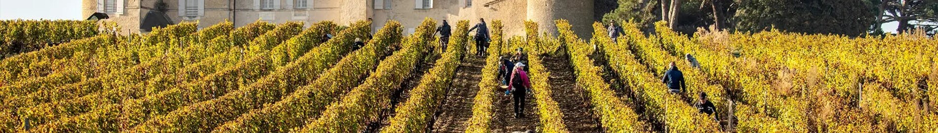 Winnice Bordeaux: doświadczenie z helikopterem