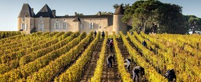 Winnice Bordeaux: doświadczenie z helikopterem